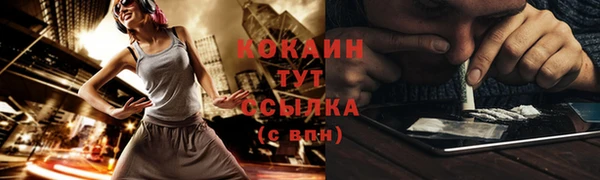 эйфоретик Белокуриха