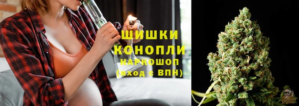эйфоретик Белокуриха