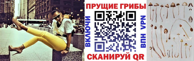 Псилоцибиновые грибы Magic Shrooms  darknet какой сайт  Буинск 