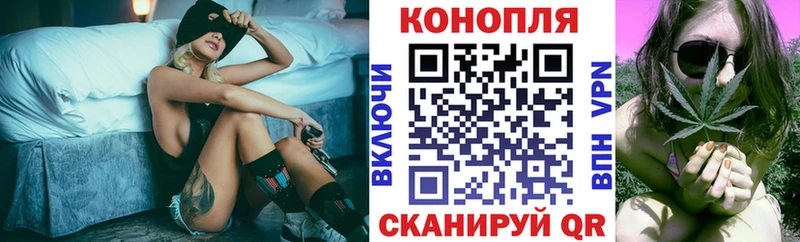 Бошки Шишки конопля  Буинск 